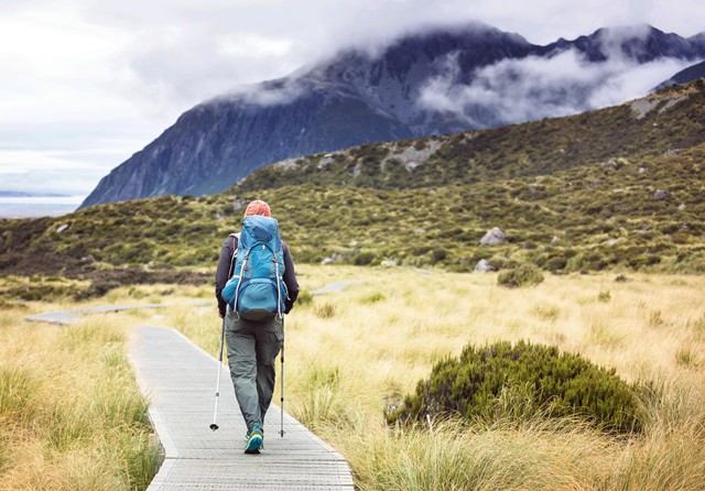 hike-in-new-zealand-2022-01-11-21-36-09-utc