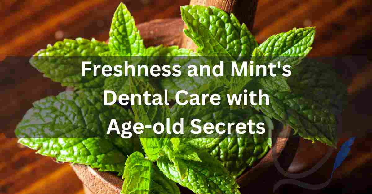 Read more about the article Freshness and Mint’s Dental Care with Age-old Secrets