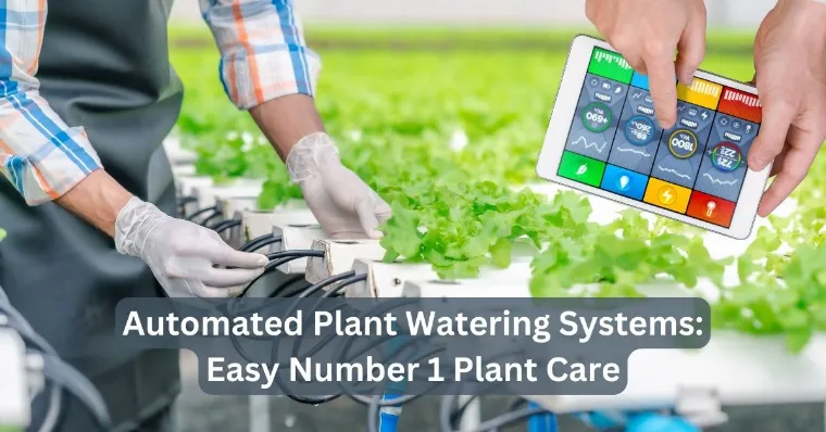 Read more about the article Automated Plant Watering Systems: Easy Number 1 Plant Care