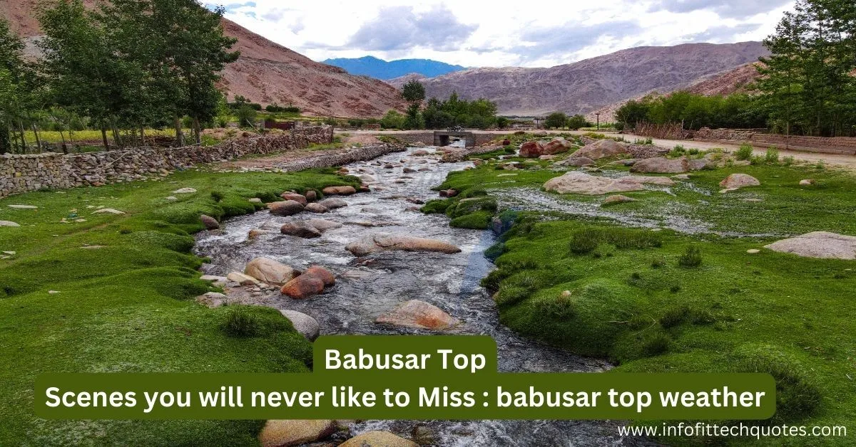 Read more about the article Babusar Top: A Comprehensive Journey through #1 Nature’s Wonderland